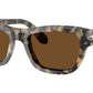 PO0091S 107157 Brown Tortoise