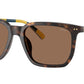 PH4224U 500373 Dark Havana