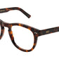 Numero 81 Havana Nostra