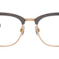 PH2277 6137 Brown Tortoise