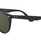 Wayfarer II Classic RB2185 black and green