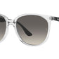 RB4378 647711 transparent