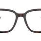 PR A09V 17N1O1 Tortoise