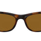 Predator 2 RB2027 dark havana