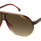 CHAMPION65/N 7W5 burgundy shaded