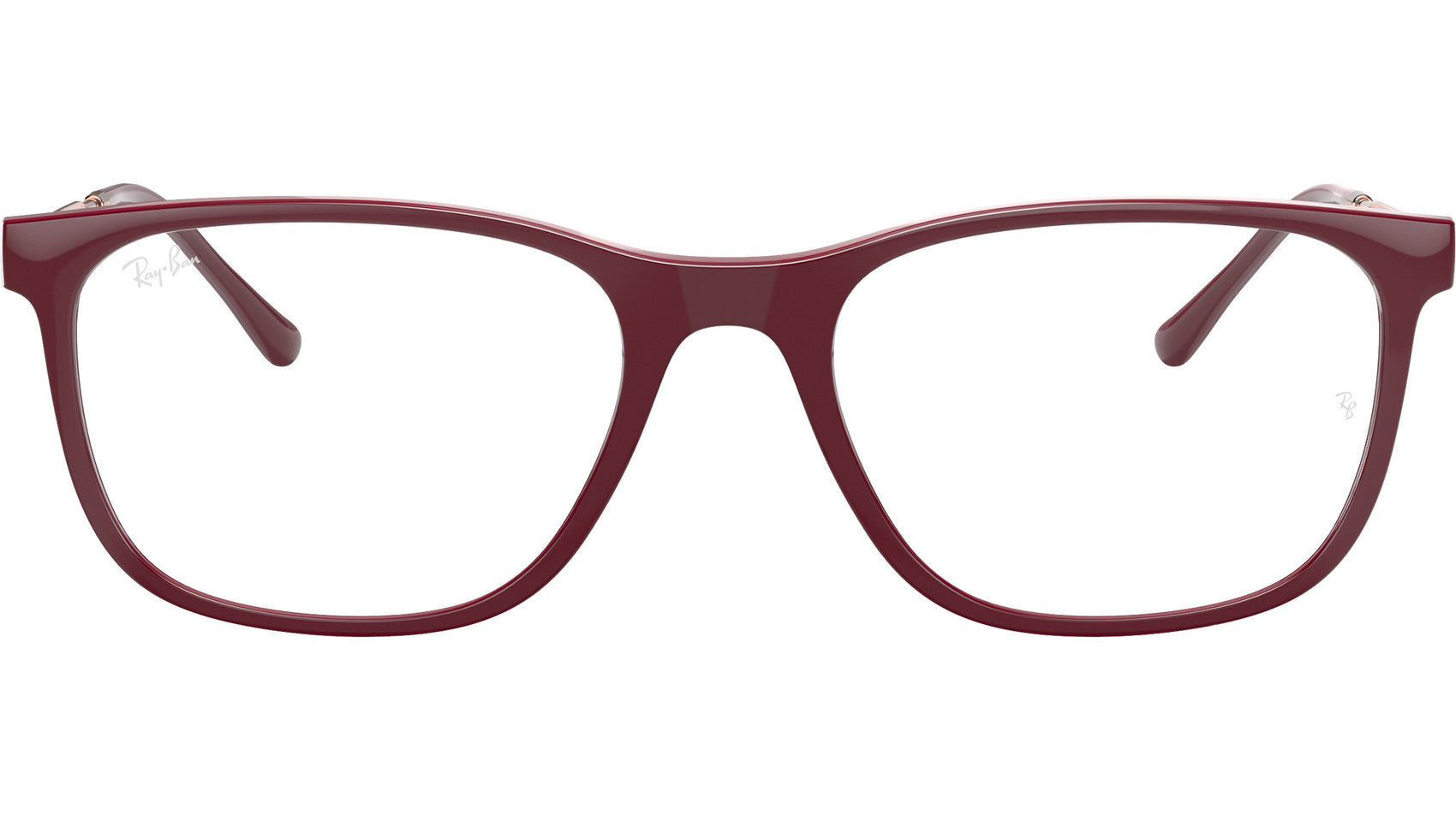 RB7244 Optics 8099