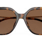 St. Barths MK2231U 30063G Dark Tortoise