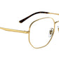 RB3682V Optics 2500