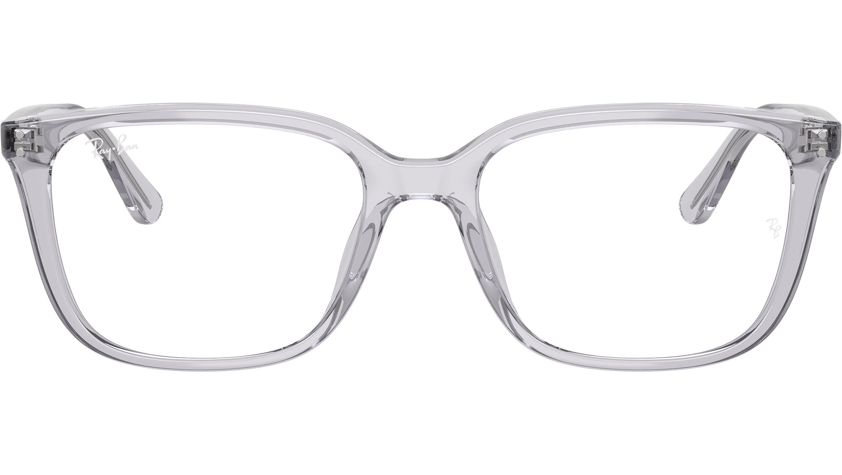 RB7248D Optics 8411