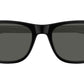 GG1671S 005