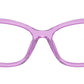 PR 21ZV 13R1O1 Amethyst