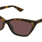 GG1815S 002