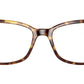 RB5362 Optics 5082