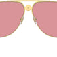 VE2255 1002A4 Gold