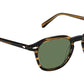 Vantz Sun Brown Bamboo