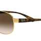 RB3386 arista gold brown