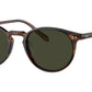 Riley Sun 1724P1 brown