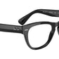Laramie Optics RB2201V 2000