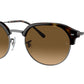 RB4429 710/M2 Havana Gunmetal