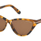 Charlie 02 FT0740 55E Tortoise
