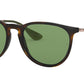 Erika RB4171 6393/2 havana