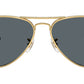 Aviator Max RB3925 001/R5