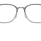 RB6466 Optics 3102