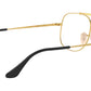 The General Optics RB6389 2501