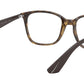 RB7066 shiny havana