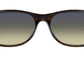 New Wayfarer Classic RB2132 matte havana