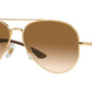 RB3675 001/51 arista