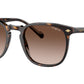 VO5328S W65613 dark havana