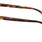 PH4214 613773 Brown Tortoise