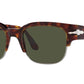 Tom 24/31 tortoise