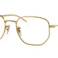 RB6496 Optics 2500