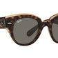 Roundabout RB2192 1292B1 havana on transparent brown