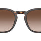 VO5328S W65613 dark havana