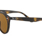 RB2180 shiny dark havana