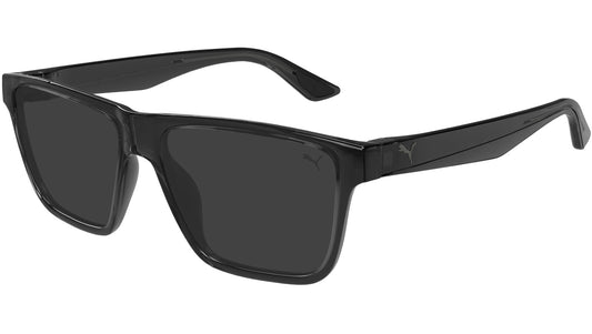 PU0484S 002