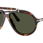 PO0202S 24/31 Havana