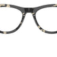 RB5510 Optics 8117