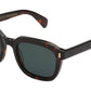 MAVEN Classic Havana