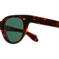 1392 Sun 02 dark turtle