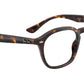 RB5451 Optics 2012