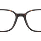 Leonard Optics RB5393 2012