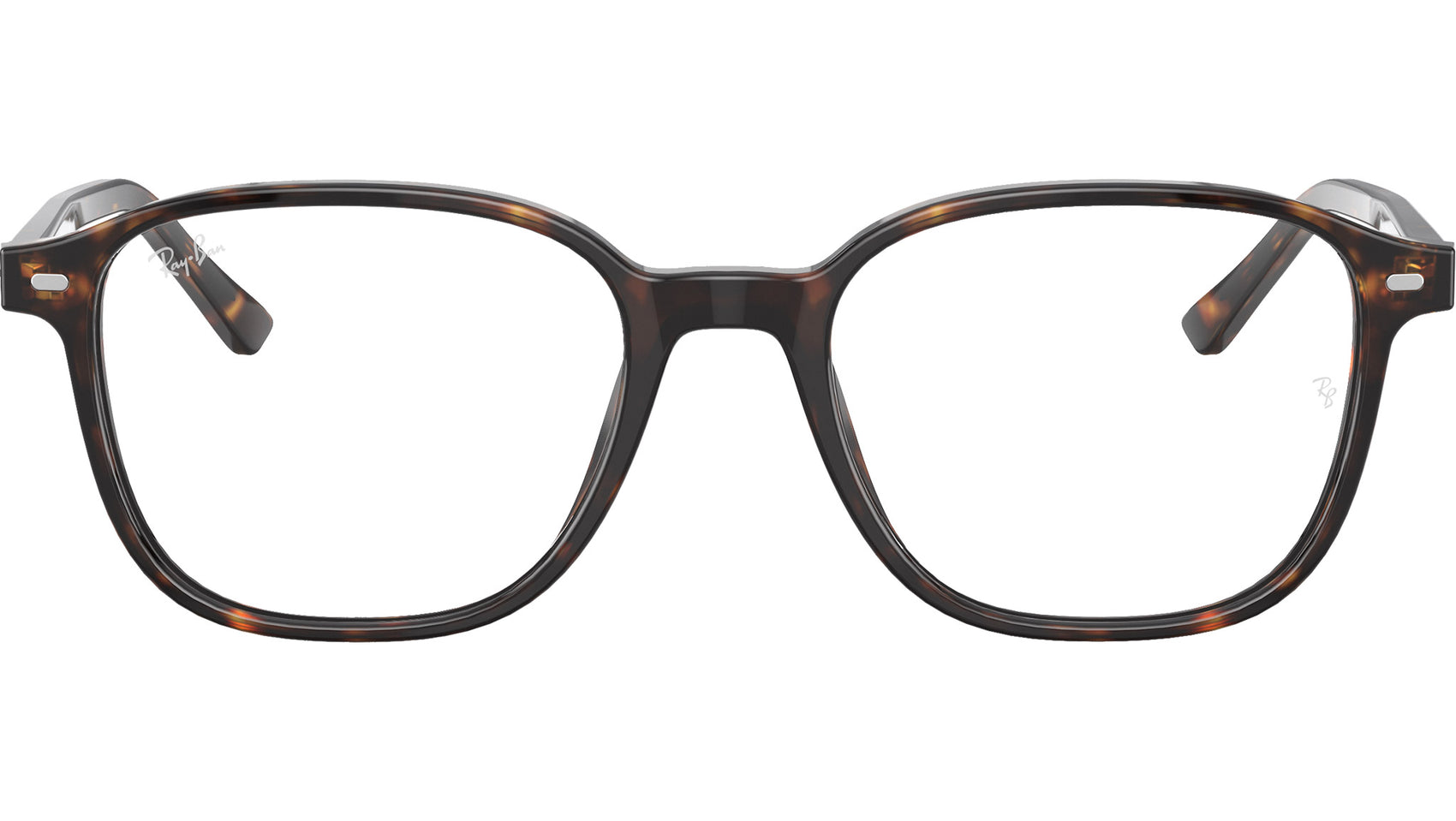 Leonard Optics RB5393 2012