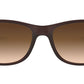 Andy RB4202 607313 matte brown on brown