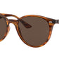 RB4305 820/73 striped red havana