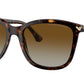 EA4060 5026T5 Tortoise