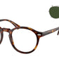PH4218 613771 Brown Tortoise